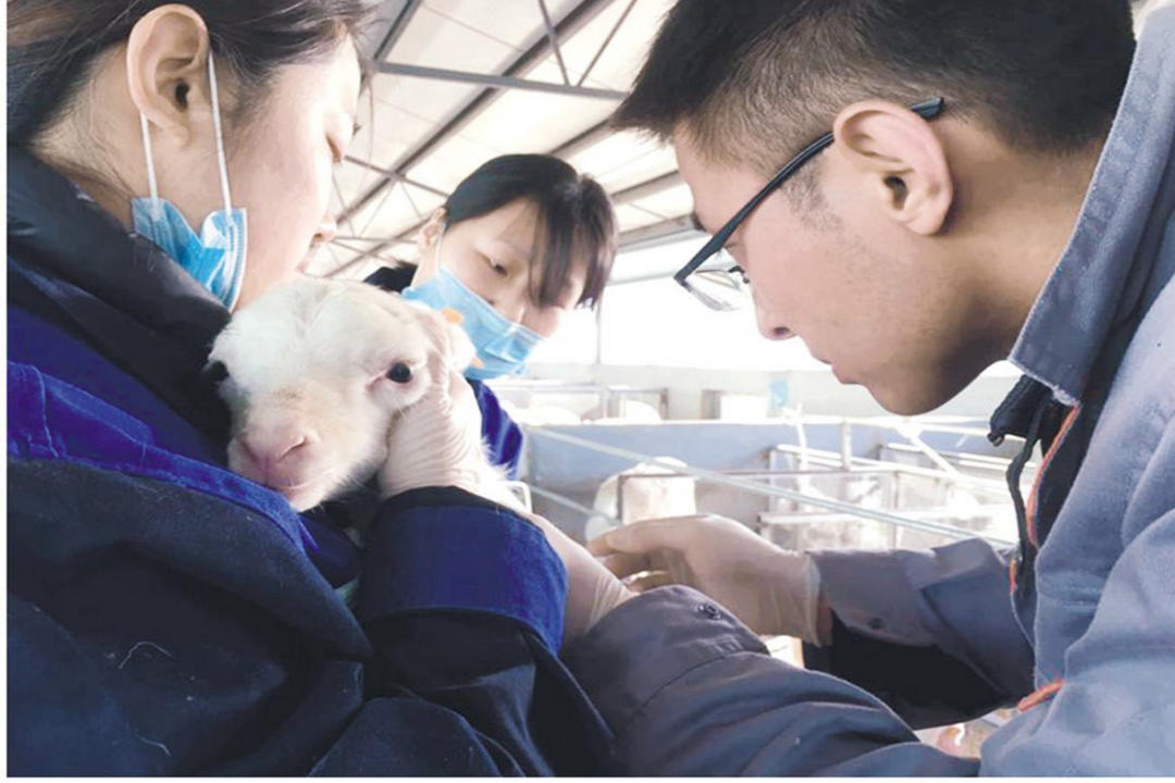 當(dāng)好產(chǎn)業(yè)扶貧主力軍，打贏脫貧攻堅(jiān)戰(zhàn)